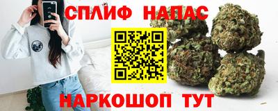 ешки Моздок